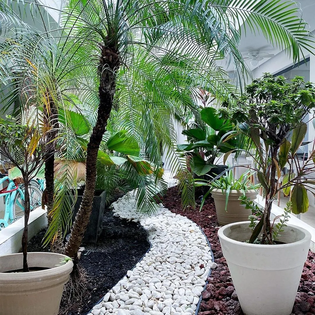 Hotel Zendero Tulum